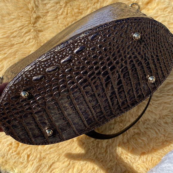 Brahmin mini Asher - Picture 5 of 9
